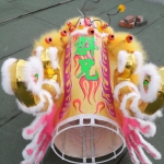 金舞龍