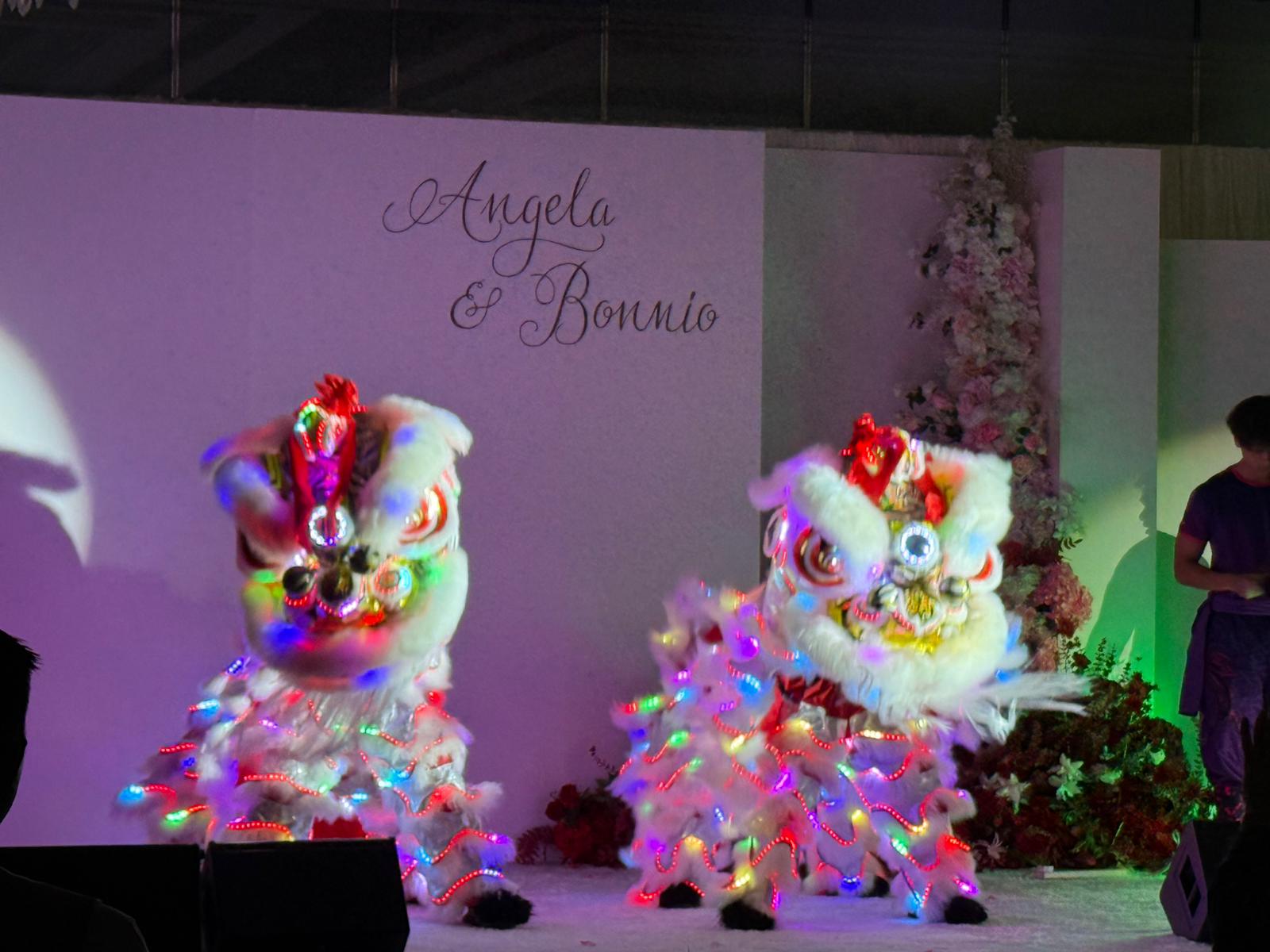 婚宴舞獅同慶賀，一雙LED舞獅在婚宴帶起氣氛